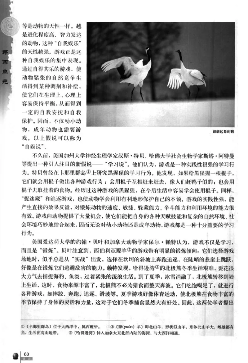 人教版高中语文必修3_4-教培资料-26年最新资料-同步更新_初中高中教资_03科三专项（进去保存报考的学科即可）_02科三专项（笔记真题思维导图教学设计版本二）