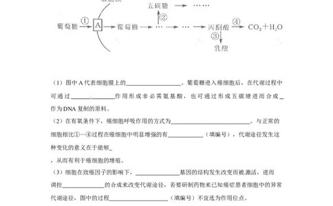 2012年高考生物试卷（四川）（空白卷）_1.高考2025全国各省真题+答案_01.2008-2024全国高考真题（按省份分类）_18.四川_2008-2024&middot;（四川）生物高考真题
