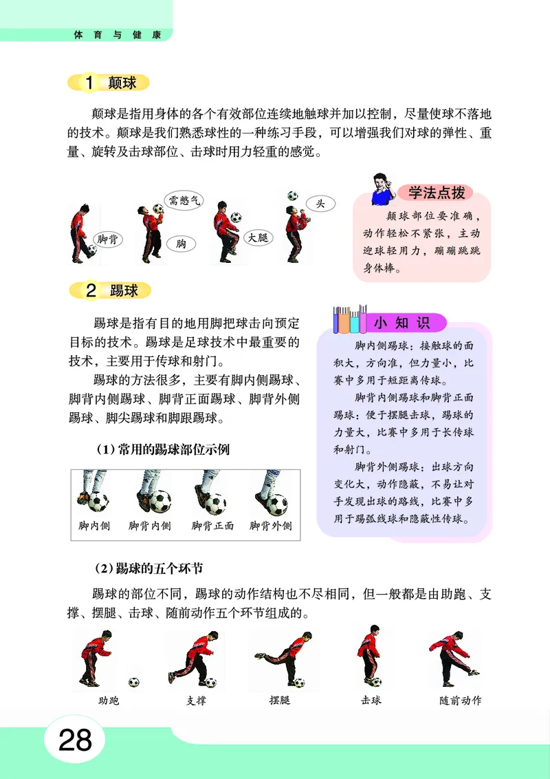 华中师大8年级体育全一册高清教材_4-教培资料-26年最新资料-同步更新_初中高中教资_03科三专项（进去保存报考的学科即可）_02科三专项（笔记真题思维导图教学设计版本二）