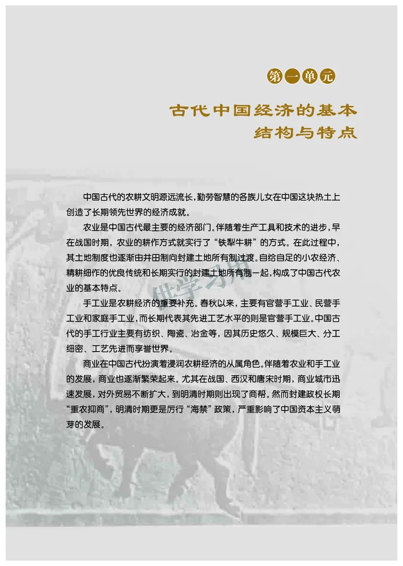 北师大版+高中历史+必修2_4-教培资料-26年最新资料-同步更新_初中高中教资_03科三专项（进去保存报考的学科即可）_02科三专项（笔记真题思维导图教学设计版本二）