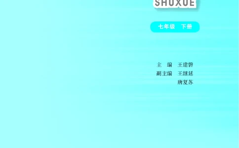 华师大7年级数学下册高清教材_4-教培资料-26年最新资料-同步更新_初中高中教资_03科三专项（进去保存报考的学科即可）_02科三专项（笔记真题思维导图教学设计版本二）