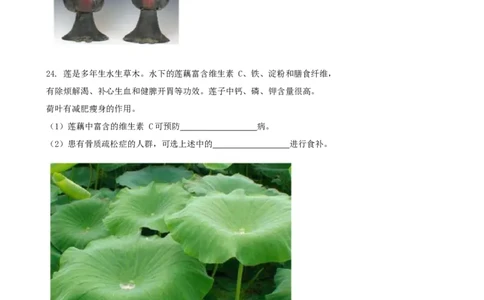 2019年山西省中考化学试题(word版含答案)_中考真题_5.化学中考真题2015-2024年_地区卷_山西中考化学2008---2021年（山西省统一试卷）