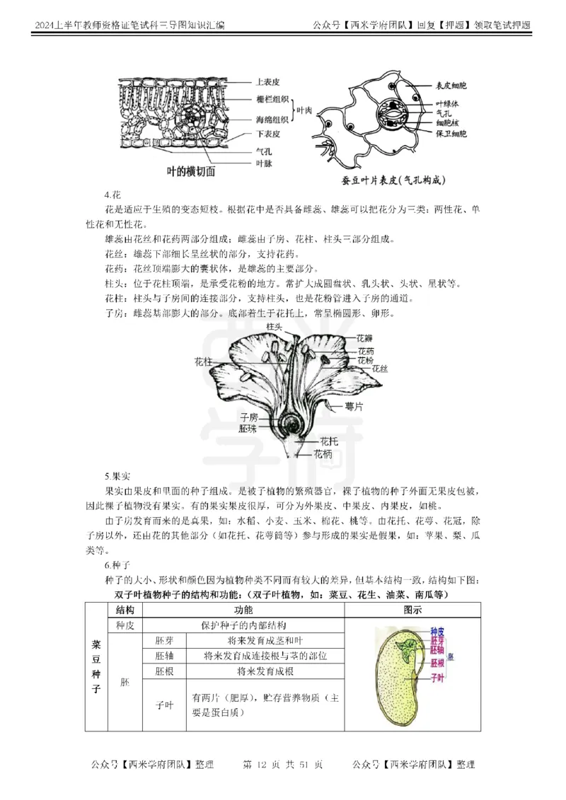 初中生物-知识导图汇编_4-教培资料-26年最新资料-同步更新_初中高中教资_03科三专项（进去保存报考的学科即可）_01科目三FB网课、三色速记手册、知识点导图等推荐_初中