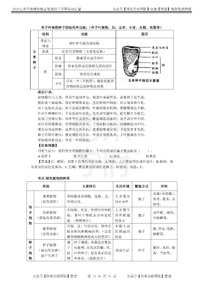 初中生物-知识导图汇编_4-教培资料-26年最新资料-同步更新_初中高中教资_03科三专项（进去保存报考的学科即可）_01科目三FB网课、三色速记手册、知识点导图等推荐_初中