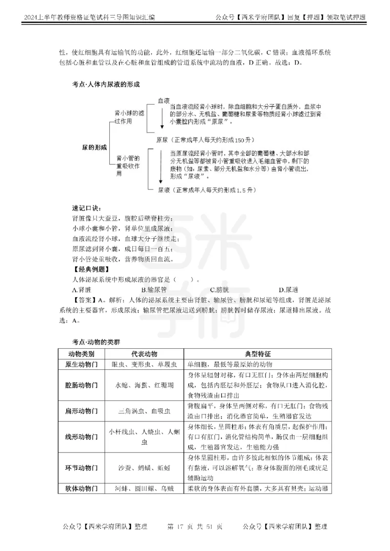 初中生物-知识导图汇编_4-教培资料-26年最新资料-同步更新_初中高中教资_03科三专项（进去保存报考的学科即可）_01科目三FB网课、三色速记手册、知识点导图等推荐_初中