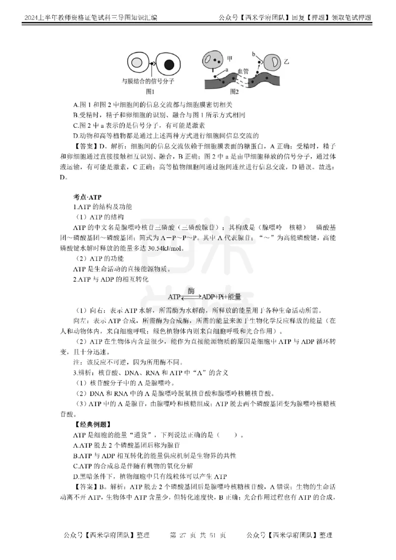 初中生物-知识导图汇编_4-教培资料-26年最新资料-同步更新_初中高中教资_03科三专项（进去保存报考的学科即可）_01科目三FB网课、三色速记手册、知识点导图等推荐_初中