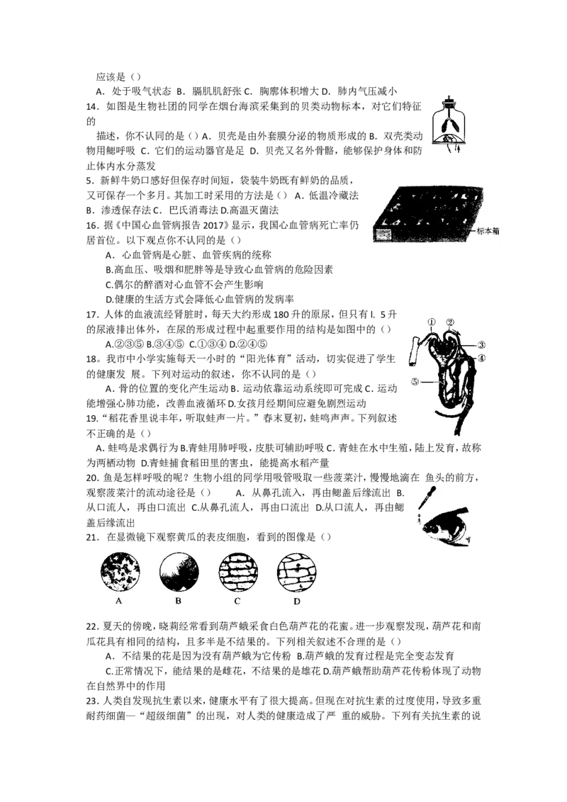 2018烟台市中考生物试题及答案(word版)_中考真题_8.生物中考真题2015-2024年_地区卷_山东省_烟台中考生物08-22