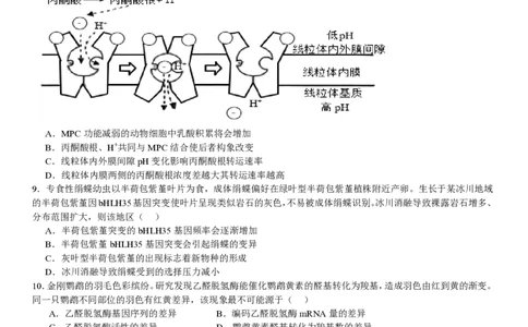 陕、晋、宁、青生物-试题_1.高考2025全国各省真题+答案_00.2025各省市高考真题及答案（按省份分类）_25、陕西卷（9科全）_生物