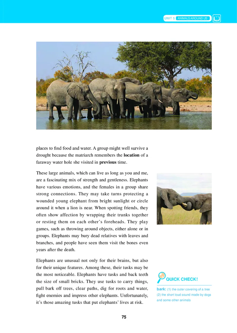 冀教版英语必修第三册高清教材_4-教培资料-26年最新资料-同步更新_初中高中教资_03科三专项（进去保存报考的学科即可）_02科三专项（笔记真题思维导图教学设计版本二）