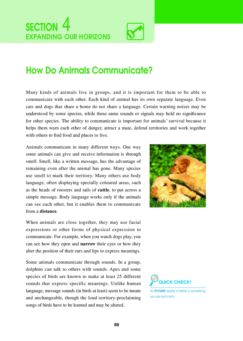 冀教版英语必修第三册高清教材_4-教培资料-26年最新资料-同步更新_初中高中教资_03科三专项（进去保存报考的学科即可）_02科三专项（笔记真题思维导图教学设计版本二）