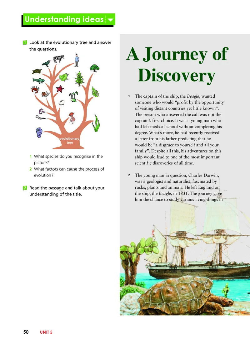 外研版英语选修第一册高清教材_4-教培资料-26年最新资料-同步更新_初中高中教资_03科三专项（进去保存报考的学科即可）_02科三专项（笔记真题思维导图教学设计版本二）
