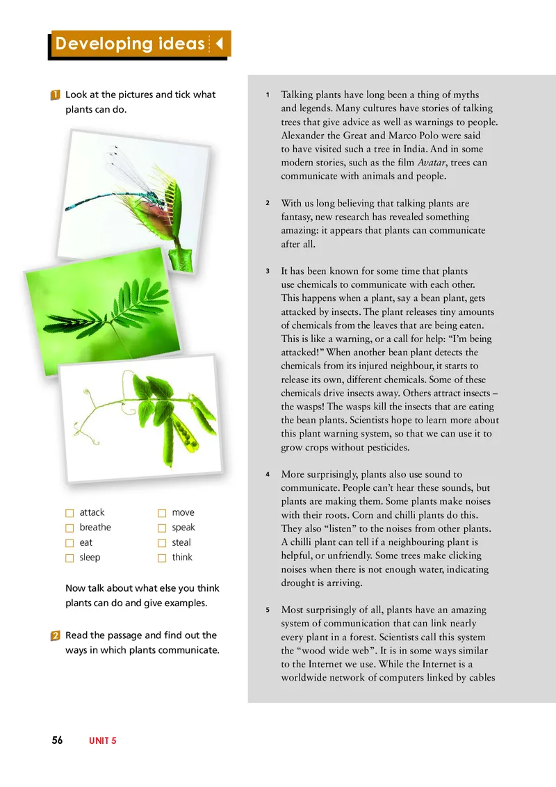 外研版英语选修第一册高清教材_4-教培资料-26年最新资料-同步更新_初中高中教资_03科三专项（进去保存报考的学科即可）_02科三专项（笔记真题思维导图教学设计版本二）