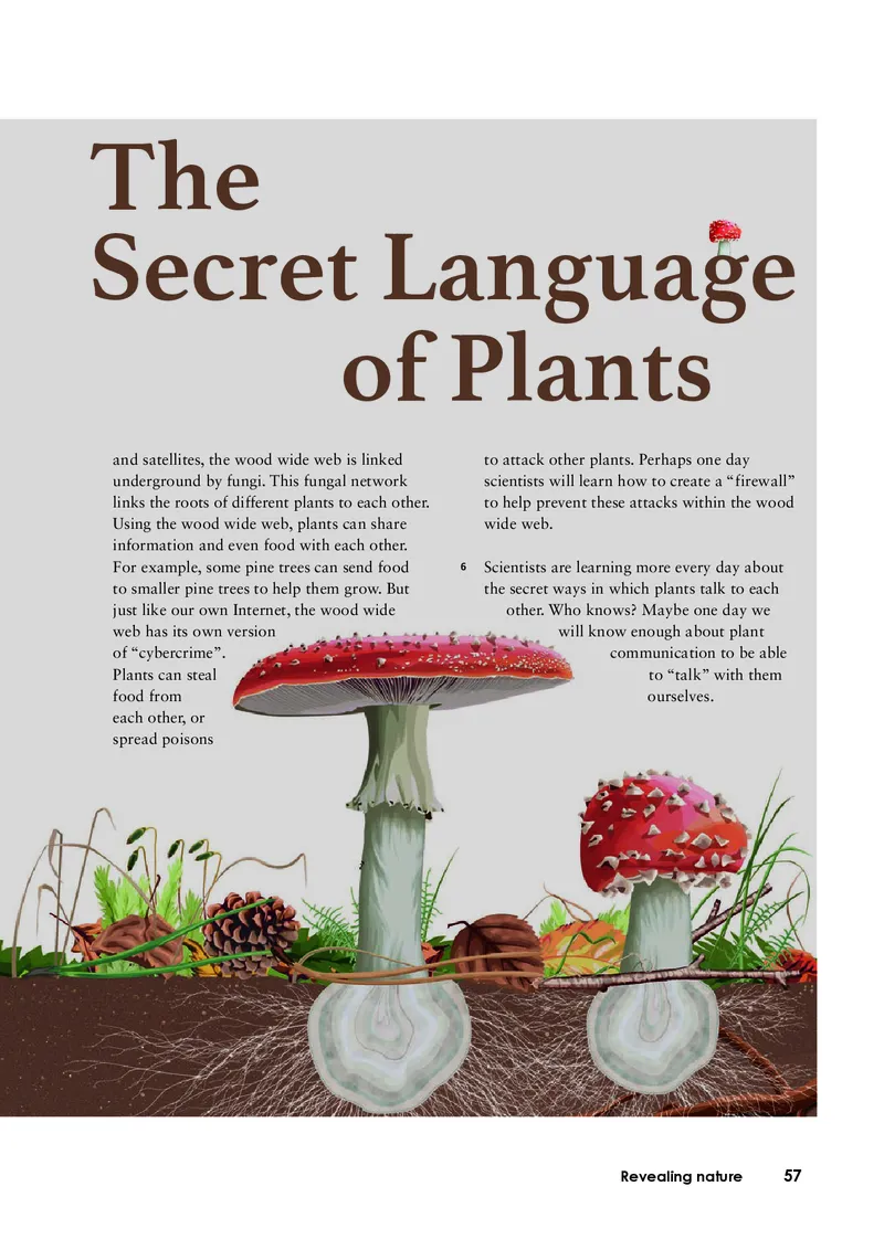 外研版英语选修第一册高清教材_4-教培资料-26年最新资料-同步更新_初中高中教资_03科三专项（进去保存报考的学科即可）_02科三专项（笔记真题思维导图教学设计版本二）