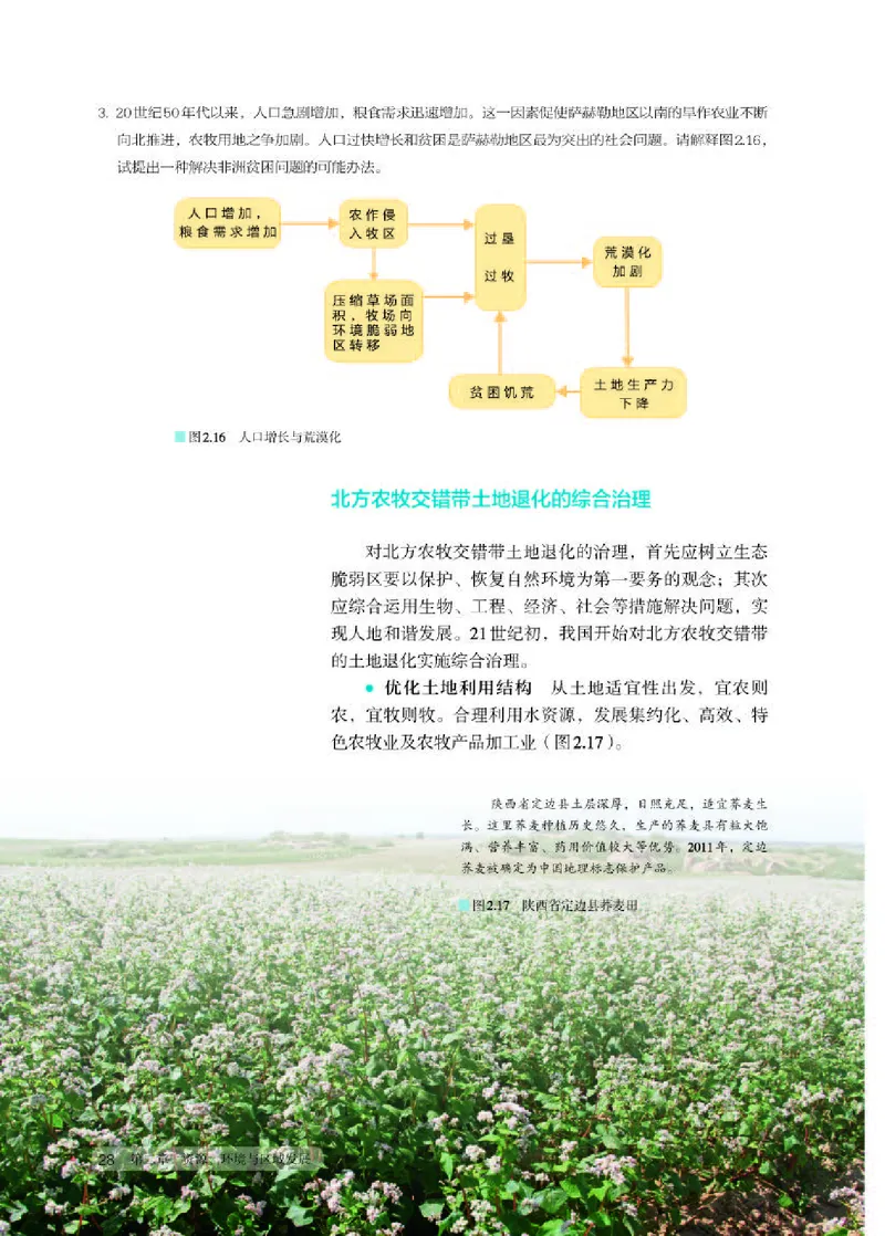 人教版地理选修第二册高清教材_4-教培资料-26年最新资料-同步更新_初中高中教资_03科三专项（进去保存报考的学科即可）_02科三专项（笔记真题思维导图教学设计版本二）