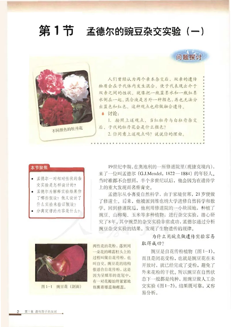 人教版高中生物必修2遗传与进化课本_4-教培资料-26年最新资料-同步更新_初中高中教资_03科三专项（进去保存报考的学科即可）_02科三专项（笔记真题思维导图教学设计版本二）