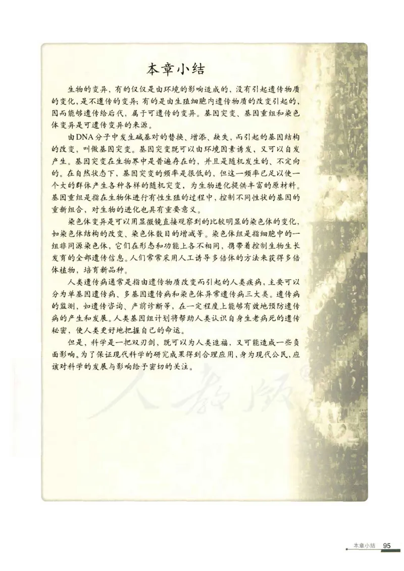 人教版高中生物必修2遗传与进化课本_4-教培资料-26年最新资料-同步更新_初中高中教资_03科三专项（进去保存报考的学科即可）_02科三专项（笔记真题思维导图教学设计版本二）