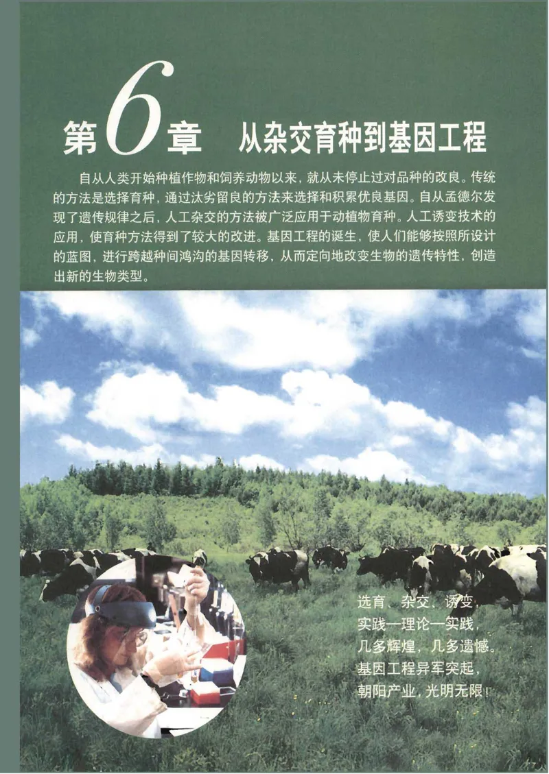人教版高中生物必修2遗传与进化课本_4-教培资料-26年最新资料-同步更新_初中高中教资_03科三专项（进去保存报考的学科即可）_02科三专项（笔记真题思维导图教学设计版本二）