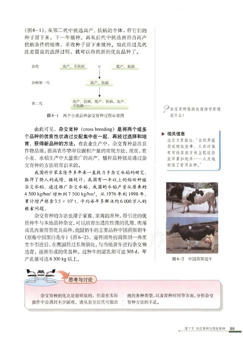 人教版高中生物必修2遗传与进化课本_4-教培资料-26年最新资料-同步更新_初中高中教资_03科三专项（进去保存报考的学科即可）_02科三专项（笔记真题思维导图教学设计版本二）