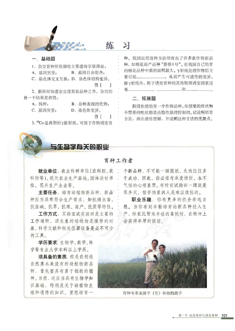 人教版高中生物必修2遗传与进化课本_4-教培资料-26年最新资料-同步更新_初中高中教资_03科三专项（进去保存报考的学科即可）_02科三专项（笔记真题思维导图教学设计版本二）