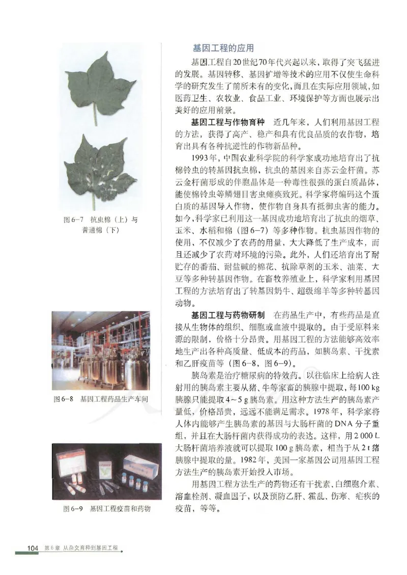 人教版高中生物必修2遗传与进化课本_4-教培资料-26年最新资料-同步更新_初中高中教资_03科三专项（进去保存报考的学科即可）_02科三专项（笔记真题思维导图教学设计版本二）