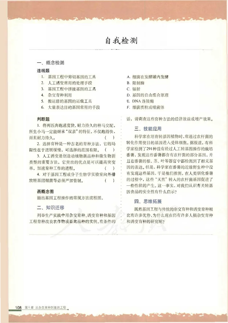 人教版高中生物必修2遗传与进化课本_4-教培资料-26年最新资料-同步更新_初中高中教资_03科三专项（进去保存报考的学科即可）_02科三专项（笔记真题思维导图教学设计版本二）