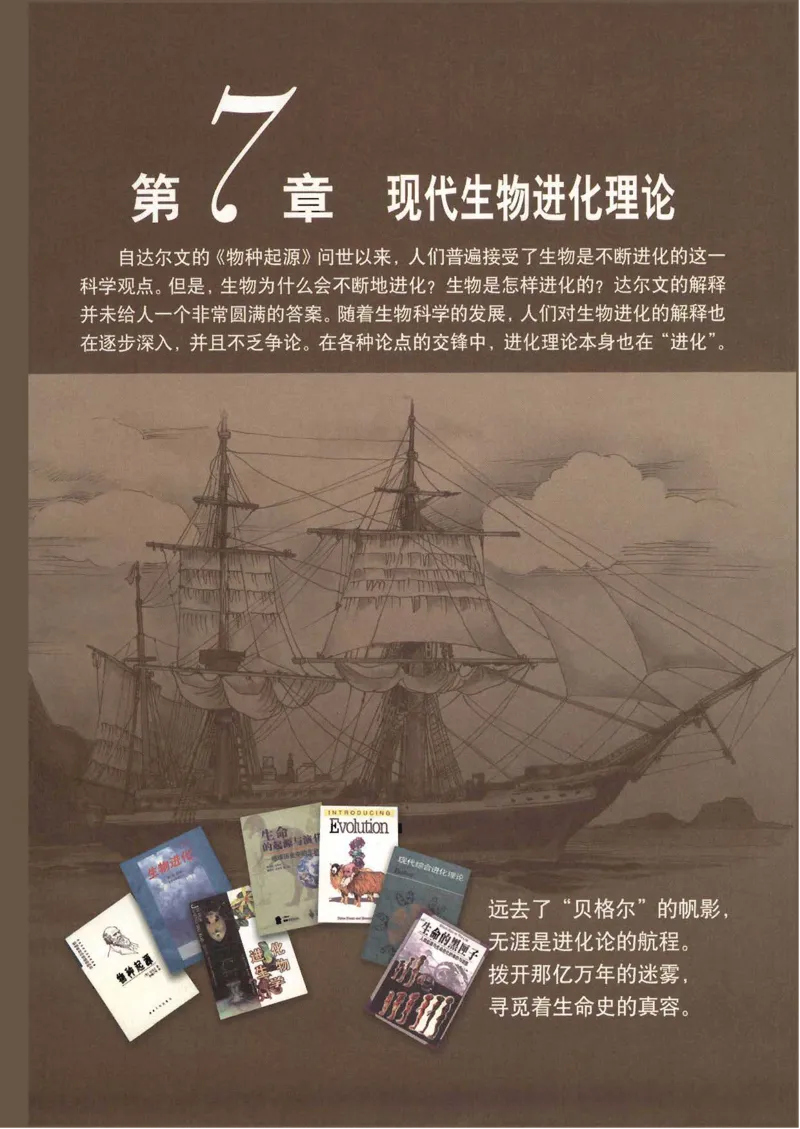 人教版高中生物必修2遗传与进化课本_4-教培资料-26年最新资料-同步更新_初中高中教资_03科三专项（进去保存报考的学科即可）_02科三专项（笔记真题思维导图教学设计版本二）