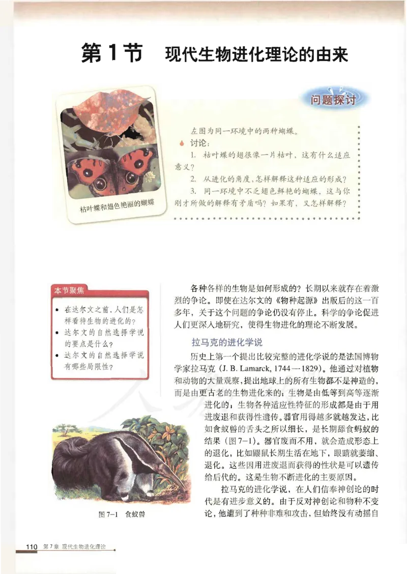 人教版高中生物必修2遗传与进化课本_4-教培资料-26年最新资料-同步更新_初中高中教资_03科三专项（进去保存报考的学科即可）_02科三专项（笔记真题思维导图教学设计版本二）