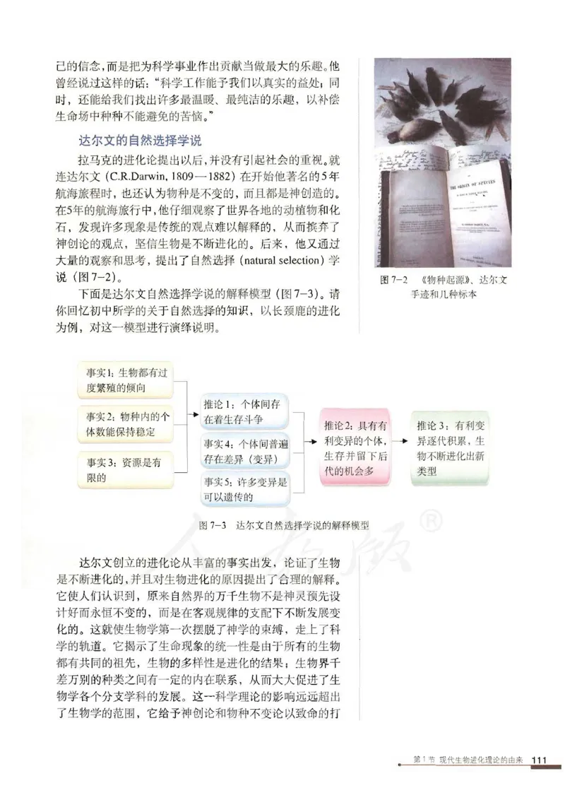 人教版高中生物必修2遗传与进化课本_4-教培资料-26年最新资料-同步更新_初中高中教资_03科三专项（进去保存报考的学科即可）_02科三专项（笔记真题思维导图教学设计版本二）