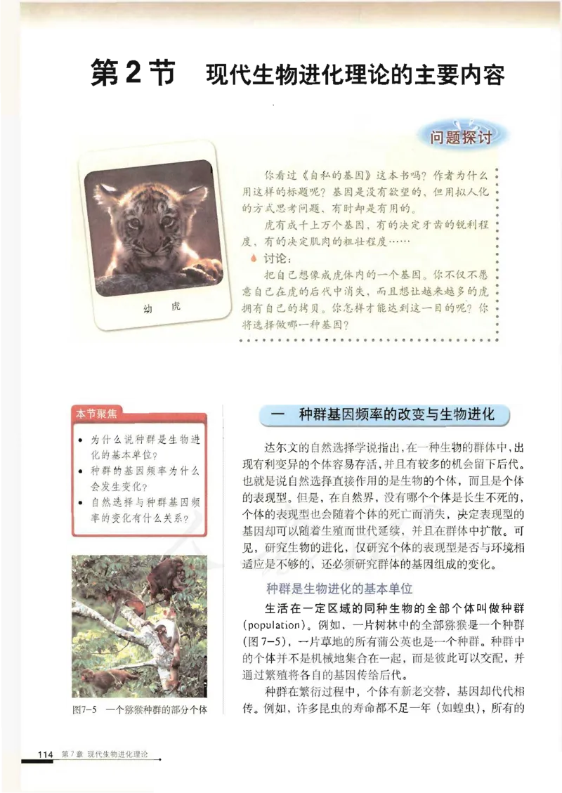 人教版高中生物必修2遗传与进化课本_4-教培资料-26年最新资料-同步更新_初中高中教资_03科三专项（进去保存报考的学科即可）_02科三专项（笔记真题思维导图教学设计版本二）
