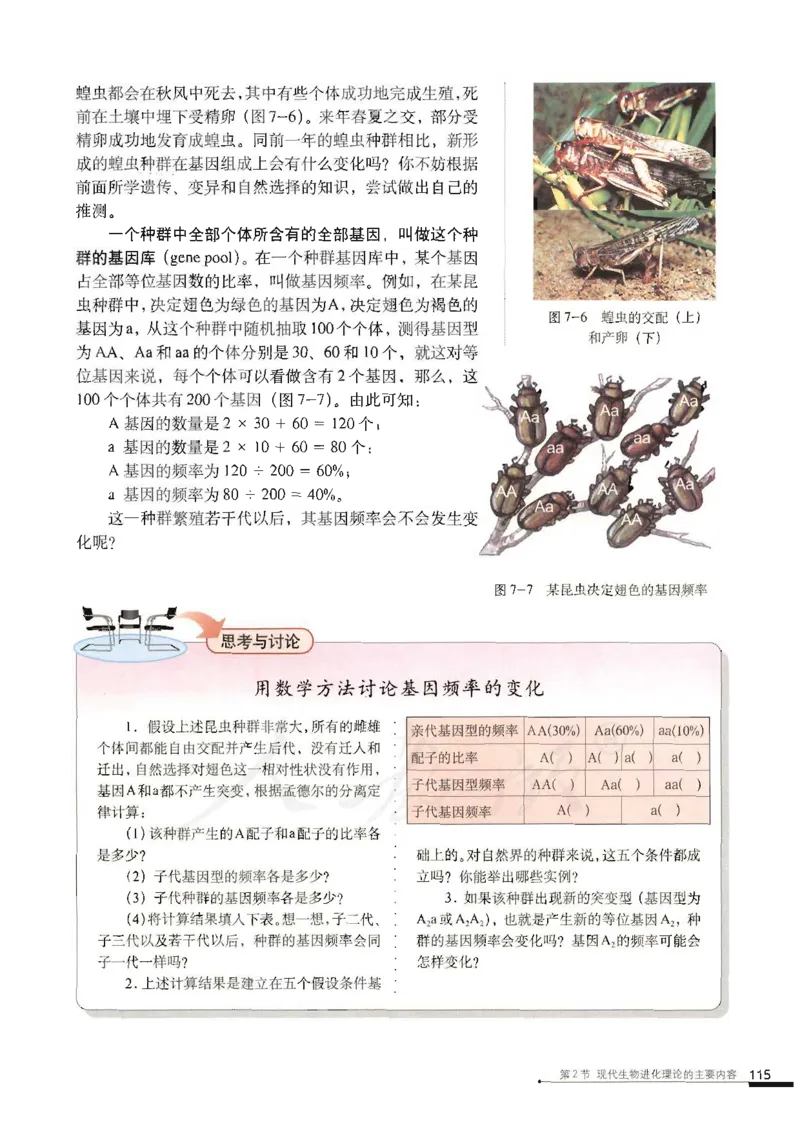 人教版高中生物必修2遗传与进化课本_4-教培资料-26年最新资料-同步更新_初中高中教资_03科三专项（进去保存报考的学科即可）_02科三专项（笔记真题思维导图教学设计版本二）
