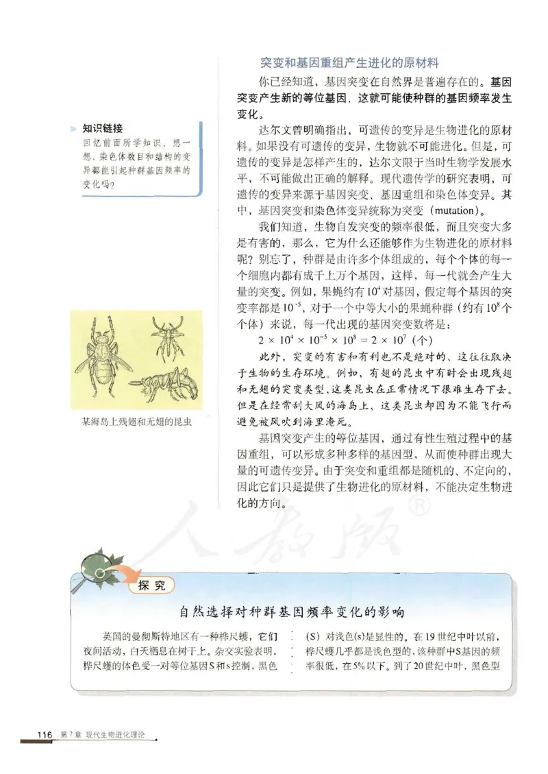 人教版高中生物必修2遗传与进化课本_4-教培资料-26年最新资料-同步更新_初中高中教资_03科三专项（进去保存报考的学科即可）_02科三专项（笔记真题思维导图教学设计版本二）