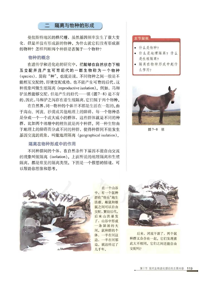 人教版高中生物必修2遗传与进化课本_4-教培资料-26年最新资料-同步更新_初中高中教资_03科三专项（进去保存报考的学科即可）_02科三专项（笔记真题思维导图教学设计版本二）