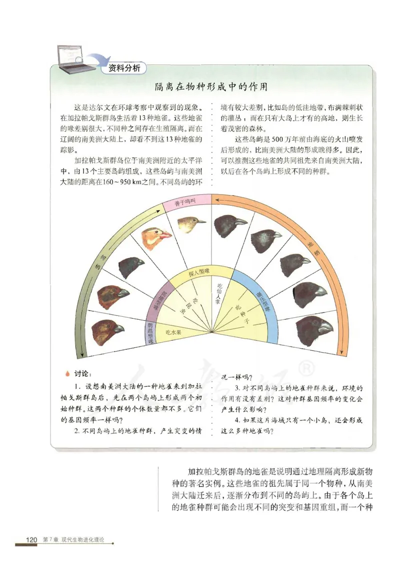 人教版高中生物必修2遗传与进化课本_4-教培资料-26年最新资料-同步更新_初中高中教资_03科三专项（进去保存报考的学科即可）_02科三专项（笔记真题思维导图教学设计版本二）
