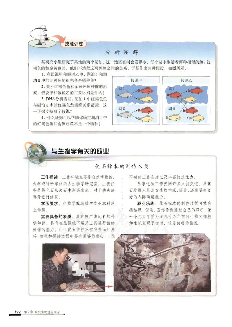 人教版高中生物必修2遗传与进化课本_4-教培资料-26年最新资料-同步更新_初中高中教资_03科三专项（进去保存报考的学科即可）_02科三专项（笔记真题思维导图教学设计版本二）
