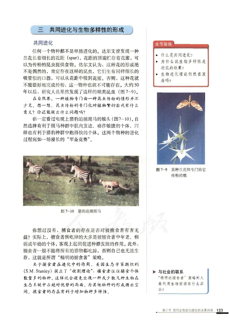 人教版高中生物必修2遗传与进化课本_4-教培资料-26年最新资料-同步更新_初中高中教资_03科三专项（进去保存报考的学科即可）_02科三专项（笔记真题思维导图教学设计版本二）