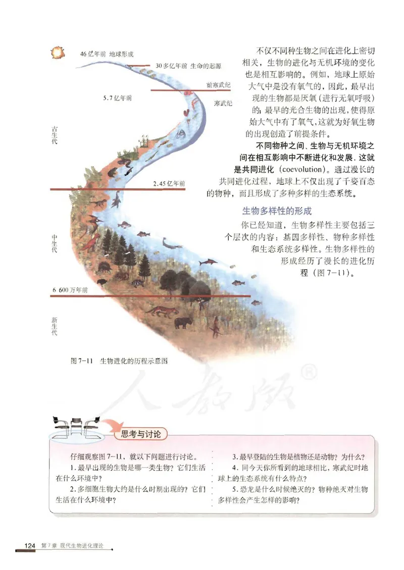 人教版高中生物必修2遗传与进化课本_4-教培资料-26年最新资料-同步更新_初中高中教资_03科三专项（进去保存报考的学科即可）_02科三专项（笔记真题思维导图教学设计版本二）