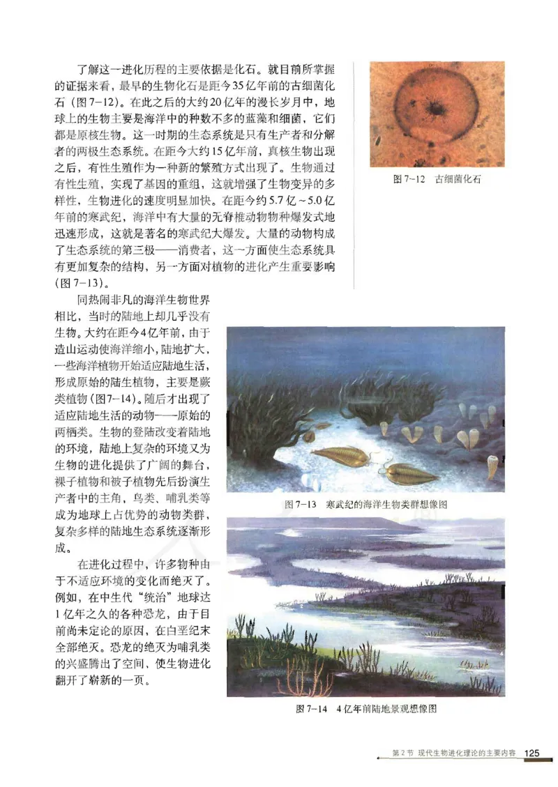 人教版高中生物必修2遗传与进化课本_4-教培资料-26年最新资料-同步更新_初中高中教资_03科三专项（进去保存报考的学科即可）_02科三专项（笔记真题思维导图教学设计版本二）