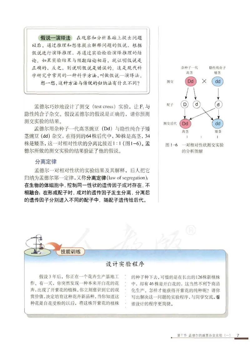 人教版高中生物必修2遗传与进化课本_4-教培资料-26年最新资料-同步更新_初中高中教资_03科三专项（进去保存报考的学科即可）_02科三专项（笔记真题思维导图教学设计版本二）
