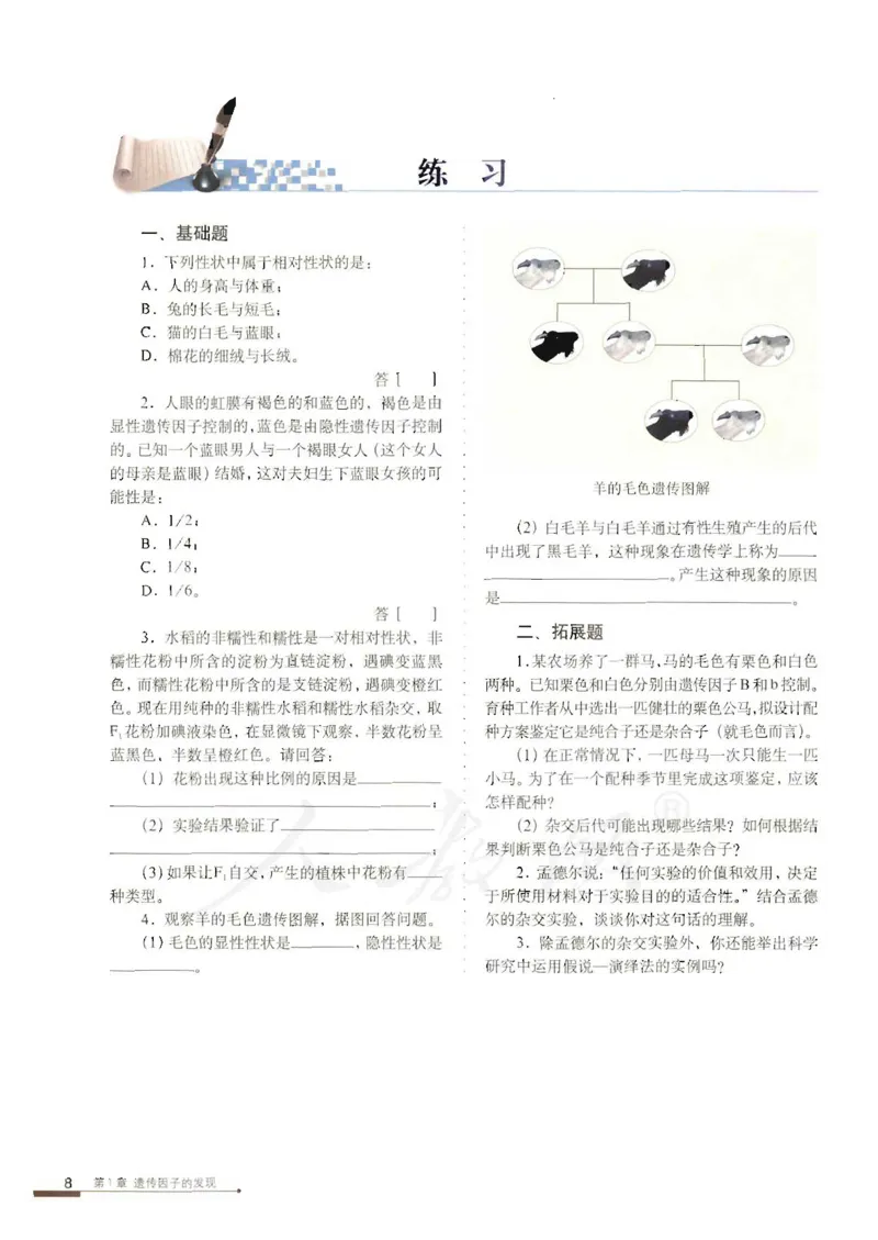 人教版高中生物必修2遗传与进化课本_4-教培资料-26年最新资料-同步更新_初中高中教资_03科三专项（进去保存报考的学科即可）_02科三专项（笔记真题思维导图教学设计版本二）