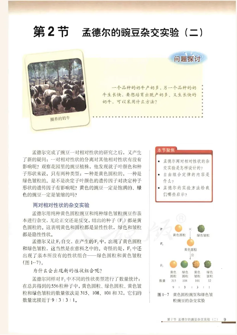 人教版高中生物必修2遗传与进化课本_4-教培资料-26年最新资料-同步更新_初中高中教资_03科三专项（进去保存报考的学科即可）_02科三专项（笔记真题思维导图教学设计版本二）