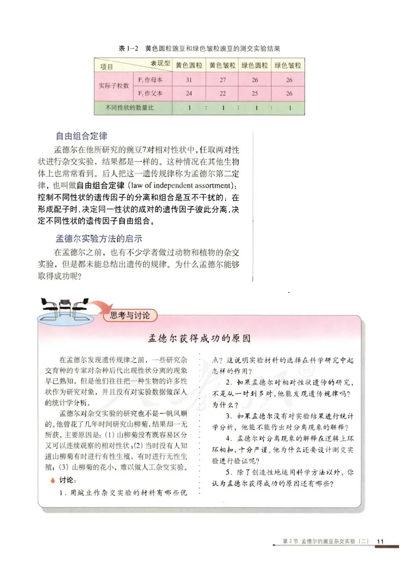 人教版高中生物必修2遗传与进化课本_4-教培资料-26年最新资料-同步更新_初中高中教资_03科三专项（进去保存报考的学科即可）_02科三专项（笔记真题思维导图教学设计版本二）