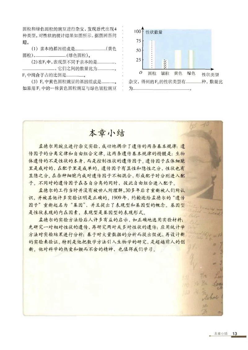 人教版高中生物必修2遗传与进化课本_4-教培资料-26年最新资料-同步更新_初中高中教资_03科三专项（进去保存报考的学科即可）_02科三专项（笔记真题思维导图教学设计版本二）