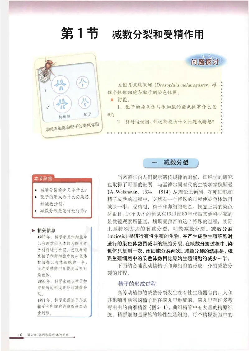 人教版高中生物必修2遗传与进化课本_4-教培资料-26年最新资料-同步更新_初中高中教资_03科三专项（进去保存报考的学科即可）_02科三专项（笔记真题思维导图教学设计版本二）