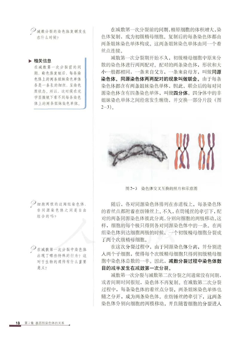 人教版高中生物必修2遗传与进化课本_4-教培资料-26年最新资料-同步更新_初中高中教资_03科三专项（进去保存报考的学科即可）_02科三专项（笔记真题思维导图教学设计版本二）