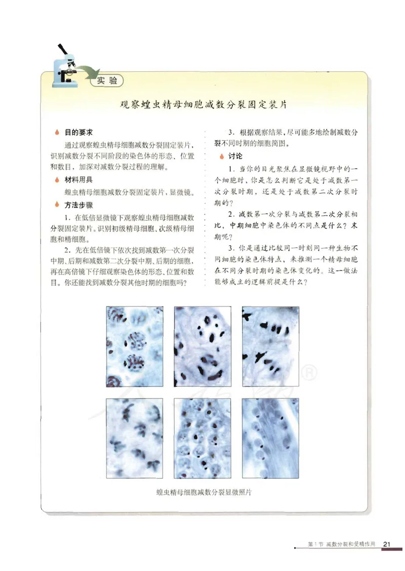 人教版高中生物必修2遗传与进化课本_4-教培资料-26年最新资料-同步更新_初中高中教资_03科三专项（进去保存报考的学科即可）_02科三专项（笔记真题思维导图教学设计版本二）
