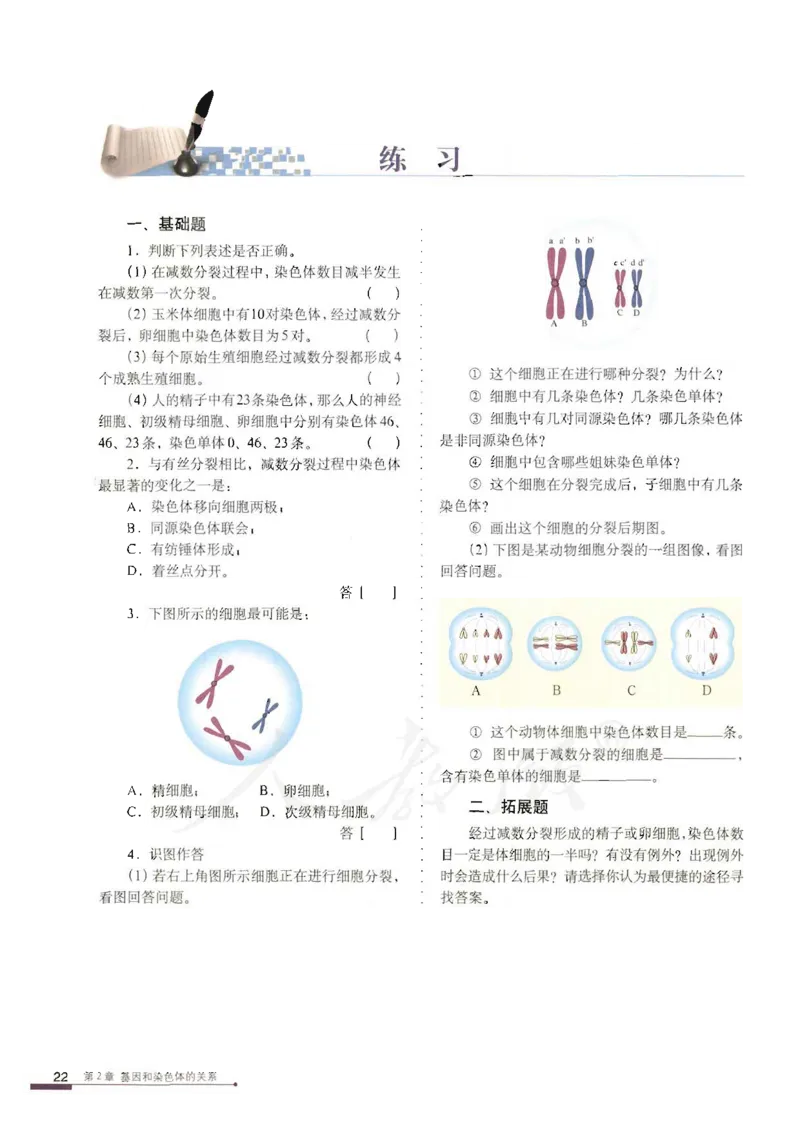 人教版高中生物必修2遗传与进化课本_4-教培资料-26年最新资料-同步更新_初中高中教资_03科三专项（进去保存报考的学科即可）_02科三专项（笔记真题思维导图教学设计版本二）