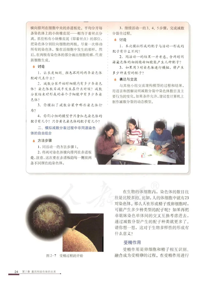 人教版高中生物必修2遗传与进化课本_4-教培资料-26年最新资料-同步更新_初中高中教资_03科三专项（进去保存报考的学科即可）_02科三专项（笔记真题思维导图教学设计版本二）