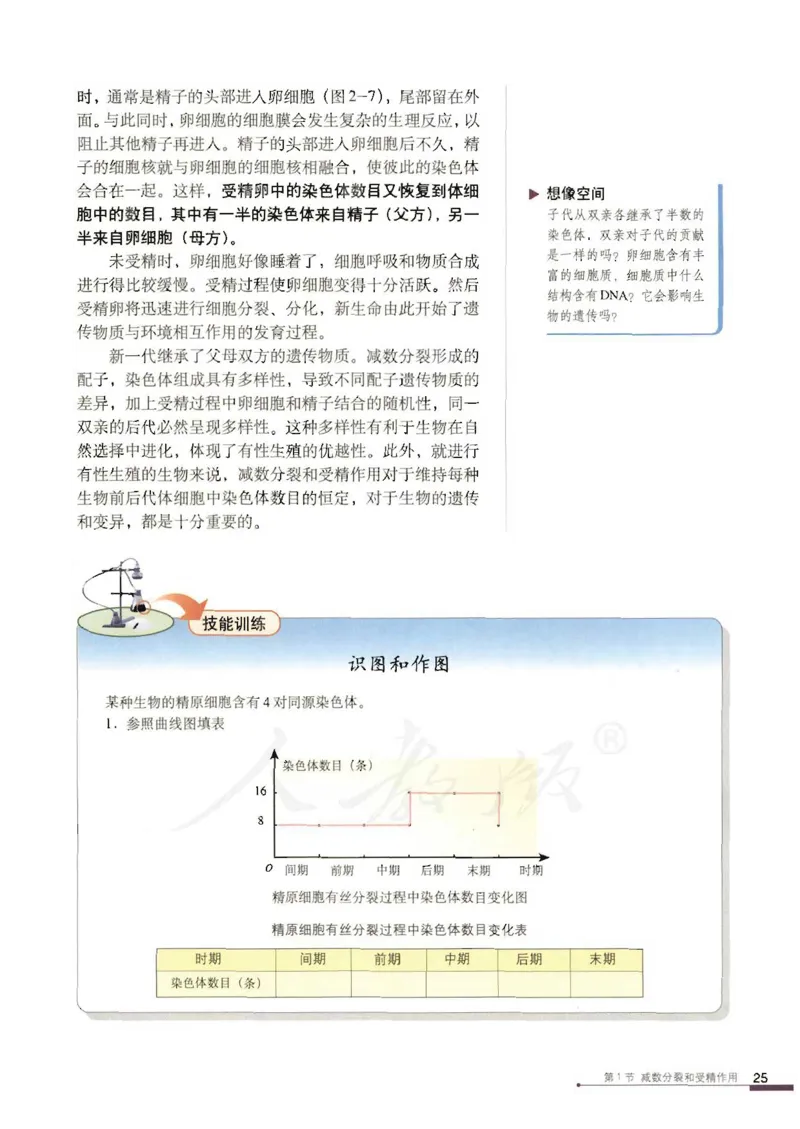 人教版高中生物必修2遗传与进化课本_4-教培资料-26年最新资料-同步更新_初中高中教资_03科三专项（进去保存报考的学科即可）_02科三专项（笔记真题思维导图教学设计版本二）
