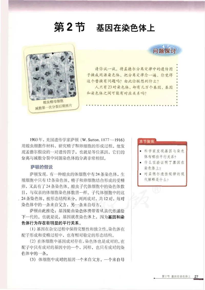 人教版高中生物必修2遗传与进化课本_4-教培资料-26年最新资料-同步更新_初中高中教资_03科三专项（进去保存报考的学科即可）_02科三专项（笔记真题思维导图教学设计版本二）