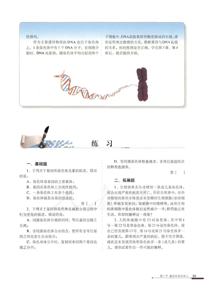 人教版高中生物必修2遗传与进化课本_4-教培资料-26年最新资料-同步更新_初中高中教资_03科三专项（进去保存报考的学科即可）_02科三专项（笔记真题思维导图教学设计版本二）